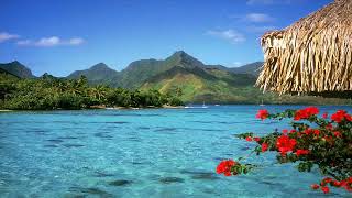 Shingo Nakamura - Memory Of The Sea (Original Mix) (Music Fan)