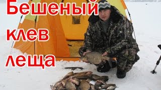 Ловля леща зимой Устье Соложи