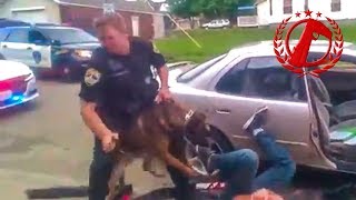 ОТКАЗАЛСЯ ПРЕДОСТАВИТЬ ДОКУМЕНТЫ полиции? Получи собаку в окно!