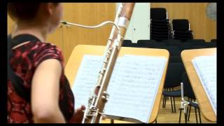 Duo Almira - L. van Beethoven, duo nº1 (flute and bassoon version)
