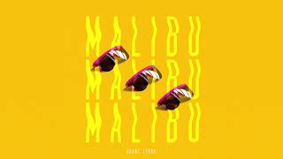 Grant Terry - Malibu