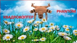 Напал Орел на Дрон    Квадрокоптер phantom 2