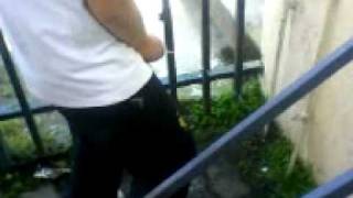 Meando las plantas del colegio