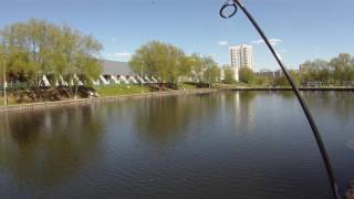 Pontoon 21 Cablista 105SP SМR