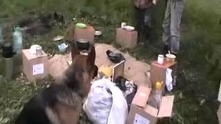 У ж.д. дороги ночлег. 2012. Игнатий Лапкин