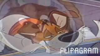 ?Lady x dodger? ( Disney dog crossover)