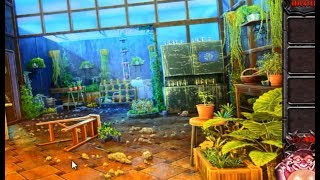 Can You Escape The 100 Room VIII Level 40 Walkthrough.