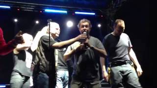 molovata 2013
