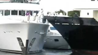 Motor Yacht Collision