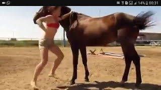 Young girl and horse