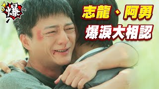 《多情大爆爆》多情城市 EP216 志龍、阿勇 爆淚大相認