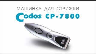 Codos CP-7800 машинка для стрижки шерсти животных (собак, кошек, кроликов) видео
