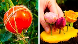 Gardening hacks every plant lover should know!
