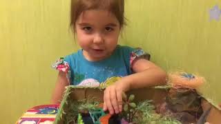 Оазис для динозавров своими руками!!!!