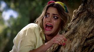 ZOOMBIES