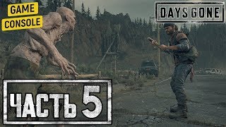 ОХОТА НА ЗАРАЖЕННЫХ - прохождение Жизнь после (Days Gone) #5