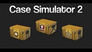 Hack case simulator 2