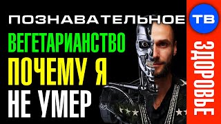 Почему я не умер на вегетарианстве? (Познавательное ТВ, Джон Коннор)