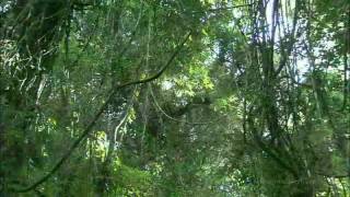 Relaxation Music 18 - Trail of the Angels
