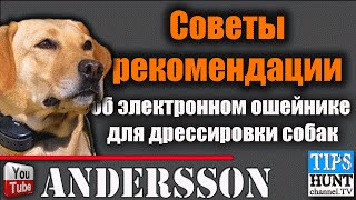 [Советы].....об электронном ошейнике для дрессировки собак.
