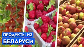 Клубника даже зимой! | Урожай круглый год: где выращивают лучшие овощи и фрукты?