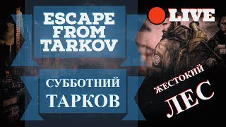 EFT - Escape From Tarkov - Побег из Таркова СТРИМ - Мясо в Лесу!