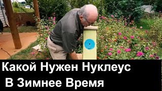 Пасека #57 Какой нужен нуклеус зимой ? На четыри  магазиных рамки Пасека.Пчеловодство