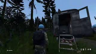 Dayz 1.07 PS4, livonia BEAR HUNT live