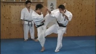 ПРИЁМЫ КАРАТЕ. ОБУЧЕНИЕ. (KARATE)