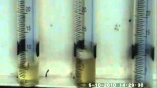 Common Rail Injector Tester