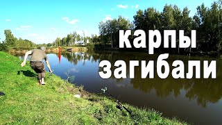 Рыбалка на карпа в сентябре 2019. Carp Fishing.