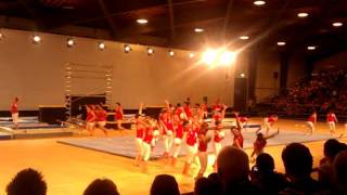 Gymnaestrada Lausanne 2011. Il gruppo ticinese!