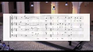 Dante Andreo. Dulcissima Maria. Coro Amadeus en Sevilla. 17-6-2011