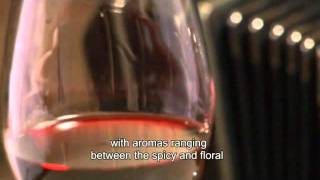 Argentina Wine Tours - Mendoza: Land of Malbec
