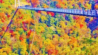 紅葉の九重夢大吊橋