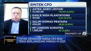Gapki Optimistis Tren Kenaikan Harga CPO Berlangsung Hingga H1-2021