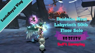 Dragon Nest SEA - Flurry Solo Daidalos Nest Labyrinth 50th Floor with no death