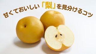 ザラザラ具合に注目!?甘くておいしい梨を見分けるコツ