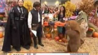Ewoks Are People Too