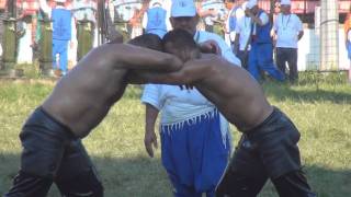 Kirkpinar Oil Wrestling 2011, Kırkpınar Yağlı Güreşleri