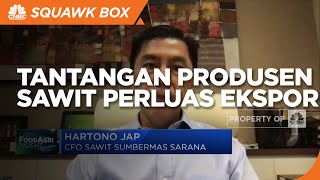 Penuhi Standar Global, Tantangan Produsen Sawit Perluas Ekspor