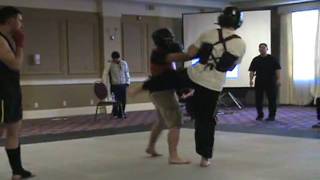 Sanshou Session 1 - Wing Chun vs. Kickboxing