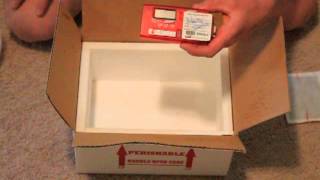 Simple packaging for gecko shipment (with heat pack)