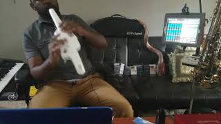 Roland AE-10 Aerophone Digital Wind Instrument by Kunle "Lord I Lift Your Name On High"