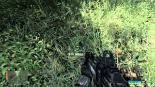 Crysis 2011-04-28