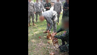 How To Kill and Prep a Chicken with Bare Hands