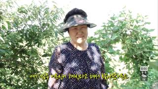 토요 모닝와이드 toyomorningwide 1121회 #2(4)