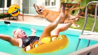 Best Funny Animal Videos 2022 - Funniest Dogs And Cats Videos