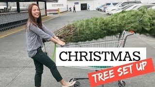 PUTTING UP OUR CHRISTMAS TREE! ?