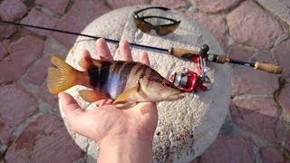 рокфишинг в черногории с gopro